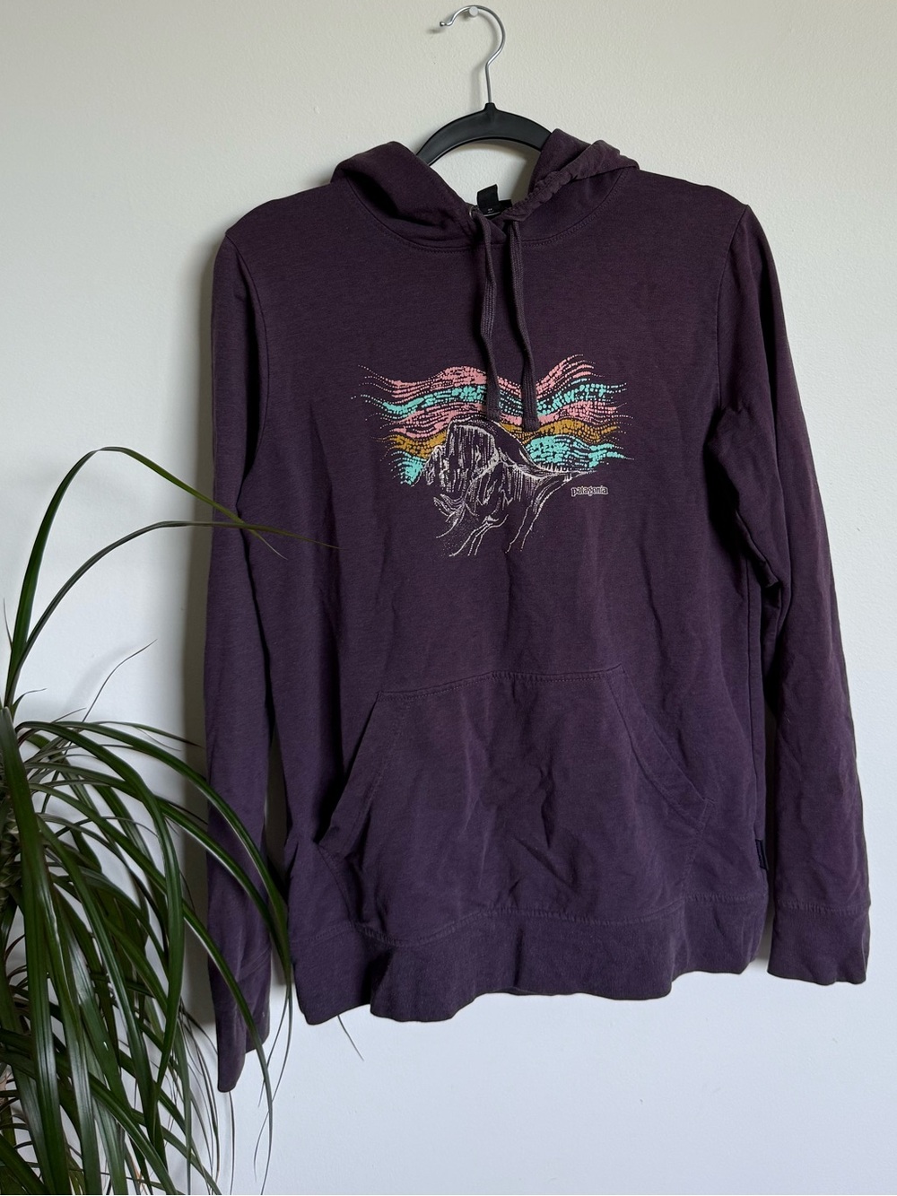 Patagonia Purple Graphic Hoodie - Casual Pullover